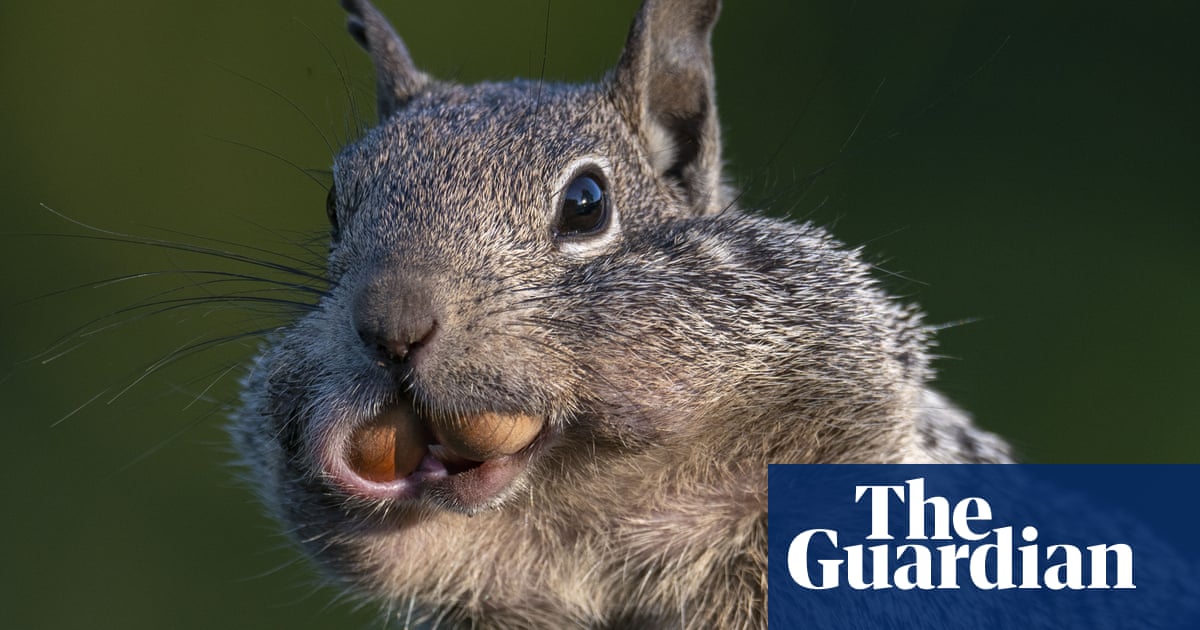 4800.jpg?width=1200&height=630&quality=8