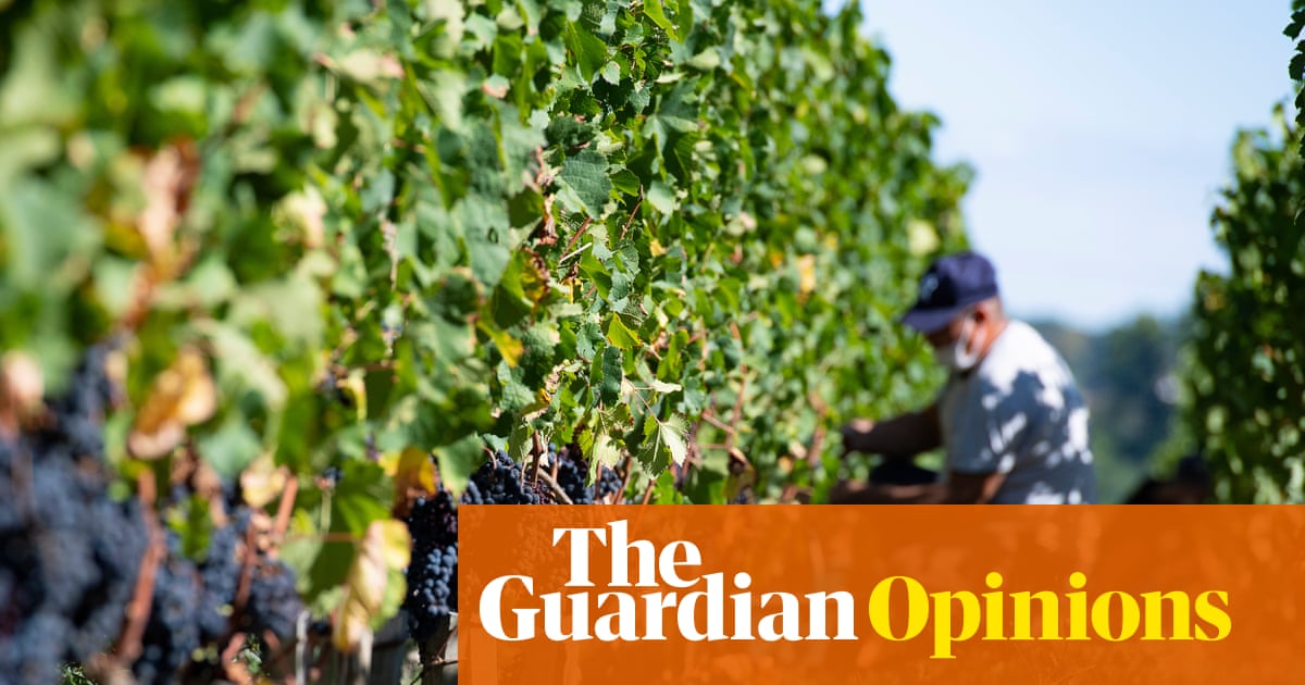 France’s wine crisis: the answer to claret could be clairet