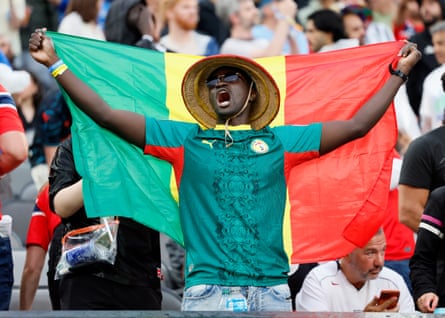 a person with a flag