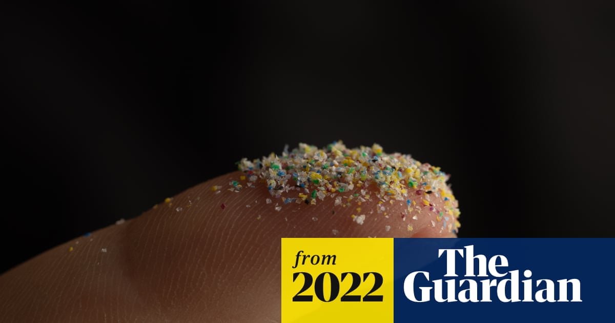 www.theguardian.com