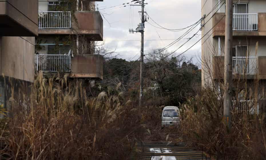 Weeds grow in an abandoned apartment complex in Futaba, Fukushima prefecture, Japan