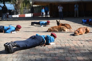 Police lie on the floor facing their dogs