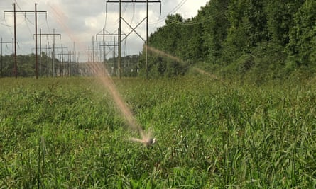 Jets of liquified hog waste shoot from spray guns and on to a field near Wallace, North Carolina.