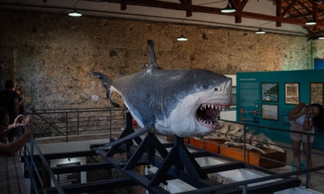 Pessoas em uma galeria tirando fotos de um tubarão muito grande e mal empalhado que parece feito de papel machê