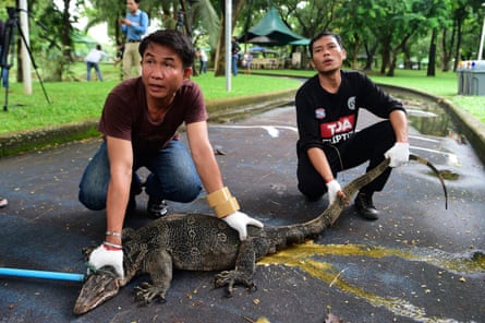 Two men hold a lizard on a pathway in a park with a lasso around its neck.