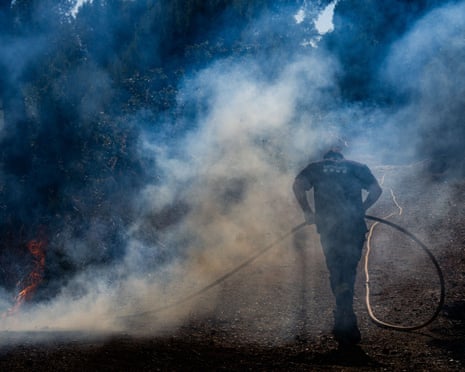 A fire in Gavà has burned 7 hectares of vegetation between Can Tries and the Serra de Ferreres.