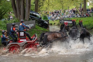 Horses pull a carriage through water