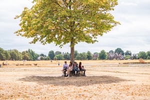 People sheltering under a tree on Wimbledon Common covered in parched grass on a hot and humid day as the hot weather is forecast to return