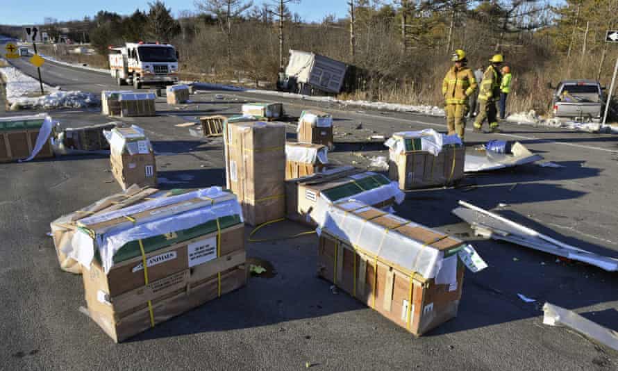 Crates with monkeys are scattered across the highway after the crash.