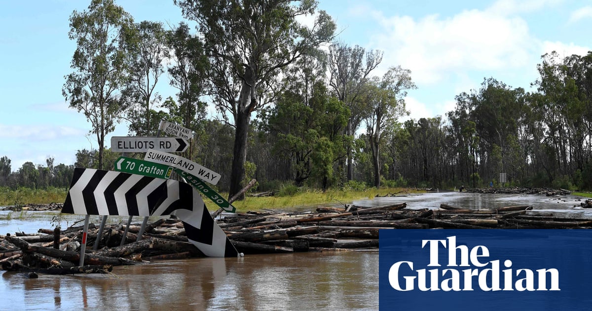 Hundreds of thousands of fish dead after NSW floods | NSW and Queensland floods 2022 | The Guardian