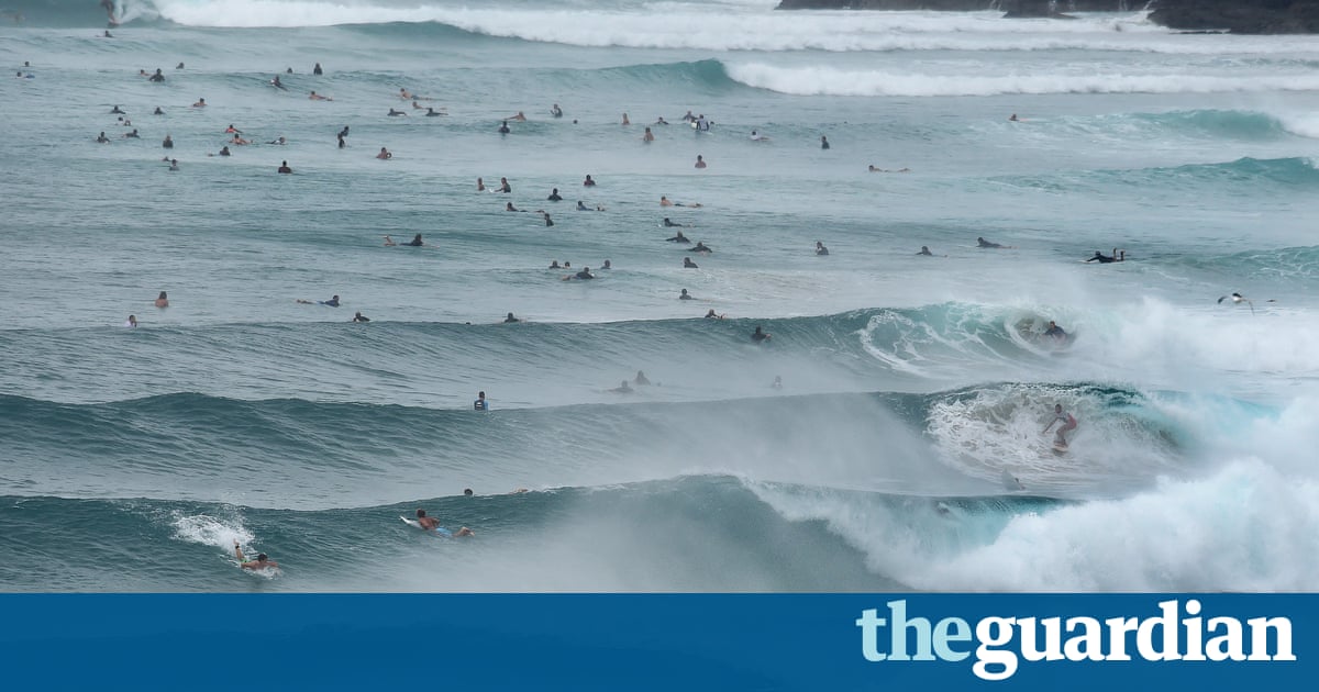 coast australia jobs gold 2015: scares Marr's terror shark fears of and David review coast australia jobs gold 2015: scares Marr's terror shark fears of and David review