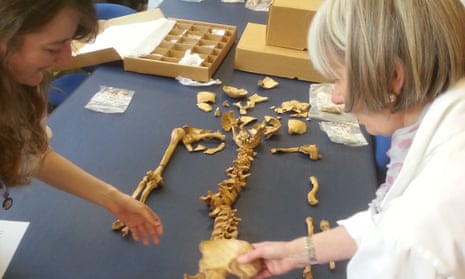 Scientists examining the children's bones.