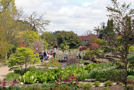 Visitors walk around a verdant landscaped garden