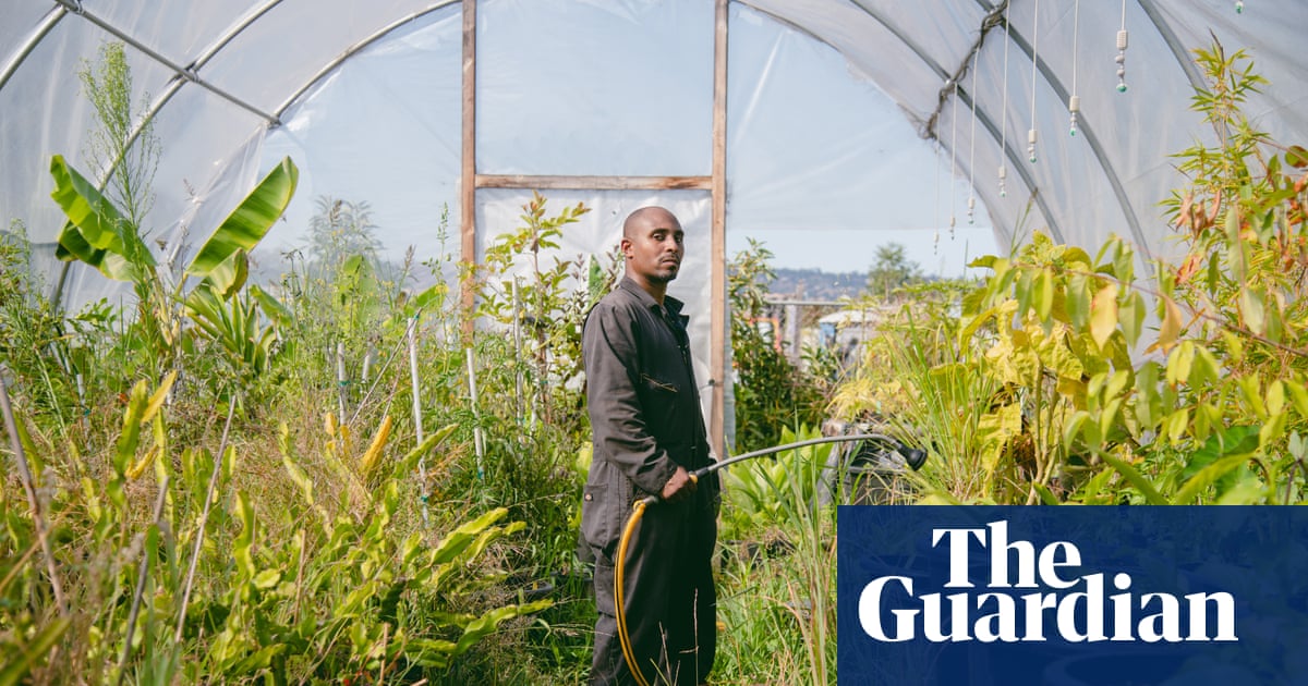 The urban garden transforming lives after prison: ‘I’m finally free’