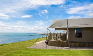 Curlew, Catchpenny Safari Lodges, Fife, Scotland, UK.