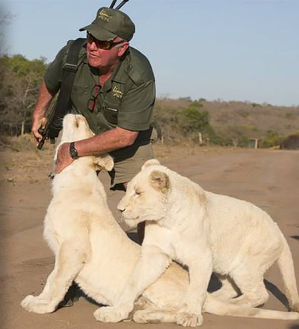 South African conservationist killed by lions he reared South African conservationist killed by lions he reared