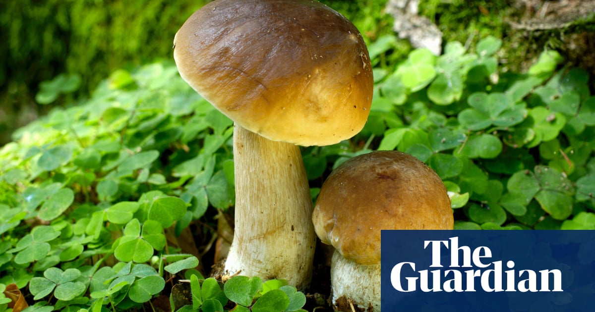 5130.jpg?width=1200&height=630&quality=8