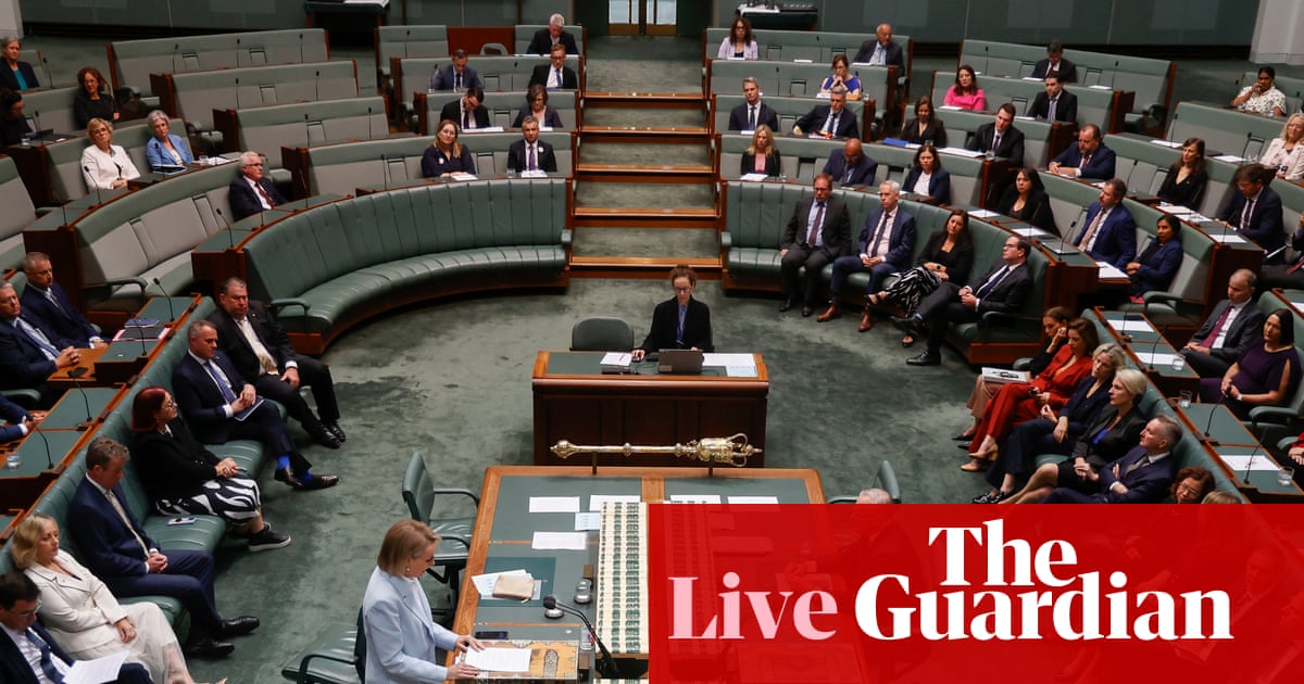 Australia politics live: Burke tells parliament he wishes Labor was ‘going harder’ on hate speech after Bondi; 100,000 livestock likely lost in Queensland floods