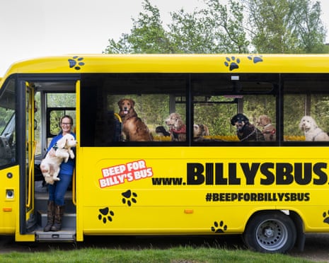 A woman standing in the doorway of a yellow bus holding a white curly-haired dog while a variety of breeds sit inside the bus looking out the windows