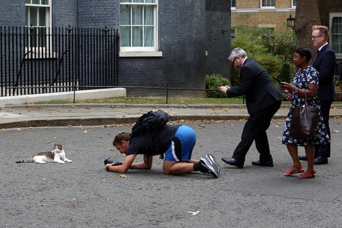People photographing Larry the cat in Downing Street this morning. He is posting in front of the sunflower arch up for Ukraine’s independence day. See 10.18am.