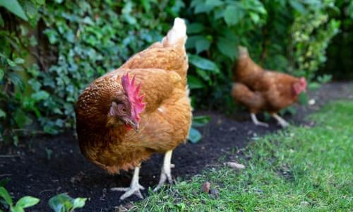 In Times Like These It Can Help To Ask What S Good Life And Style The Guardian