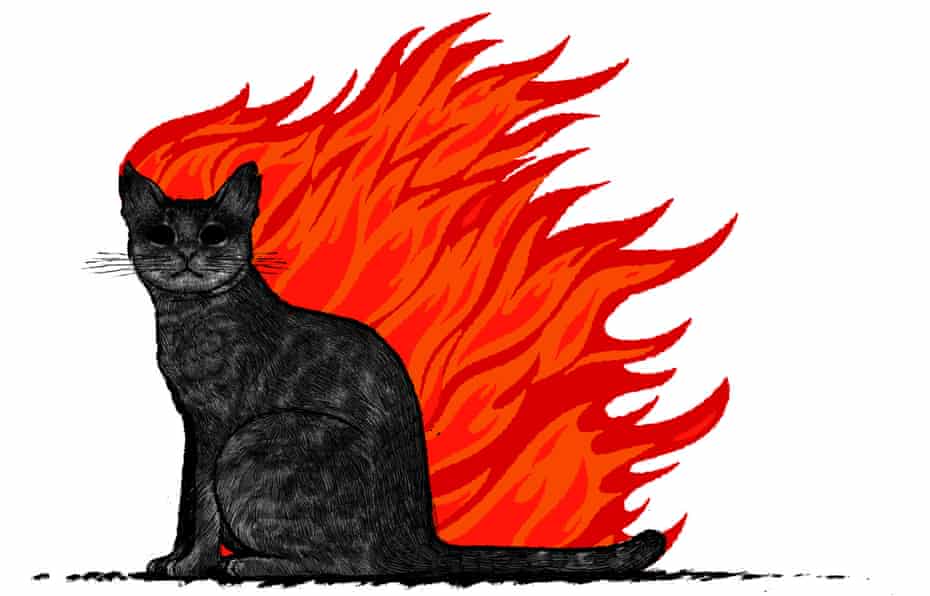 Illustration by David Foldvari of a flaming dead cat