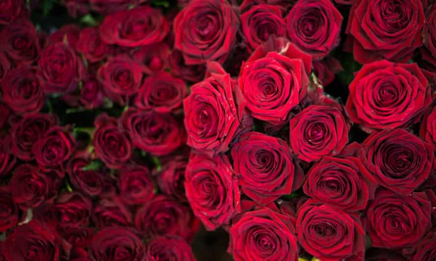 Why You Re Wrong To Hate Valentine S Day A Short List Of Rebuttals Valentine S Day The Guardian