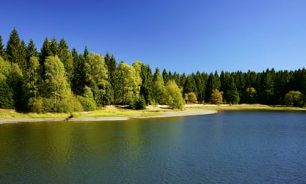 Forest near Clausthal-Zellerfeld, Harz, Germany.