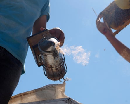 Beekeepers at work with a smoker