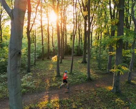 A runner on a trail through a forest close to sunset.