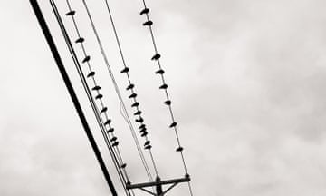 birds on a telegraph wire in
Three images by Diana Matar of locations where people have died in encounters with police - one in Texas and two in New Mexico