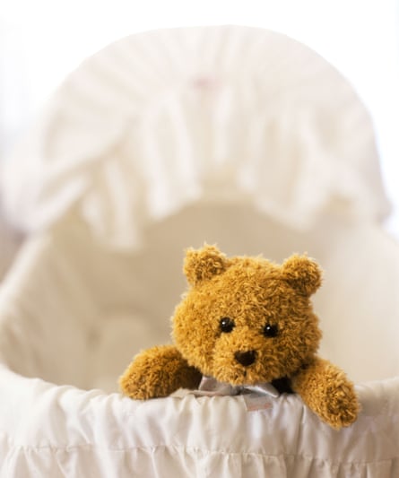 Teddy bear in a baby bassinet