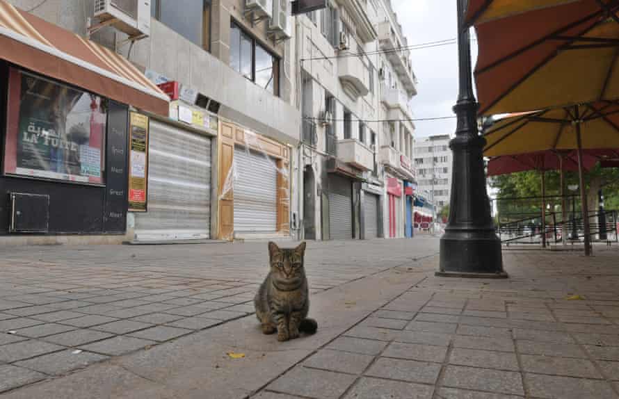 The deserted avenue Habib Bourguiba in Tunis