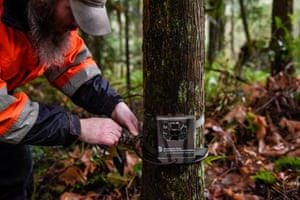 Glen Kalisz, habitat connectivity biologist with the Washington state Department of Transportation, checks a trail camera that generates data about habitat connectivity for cougars near Olympia, Washington, US