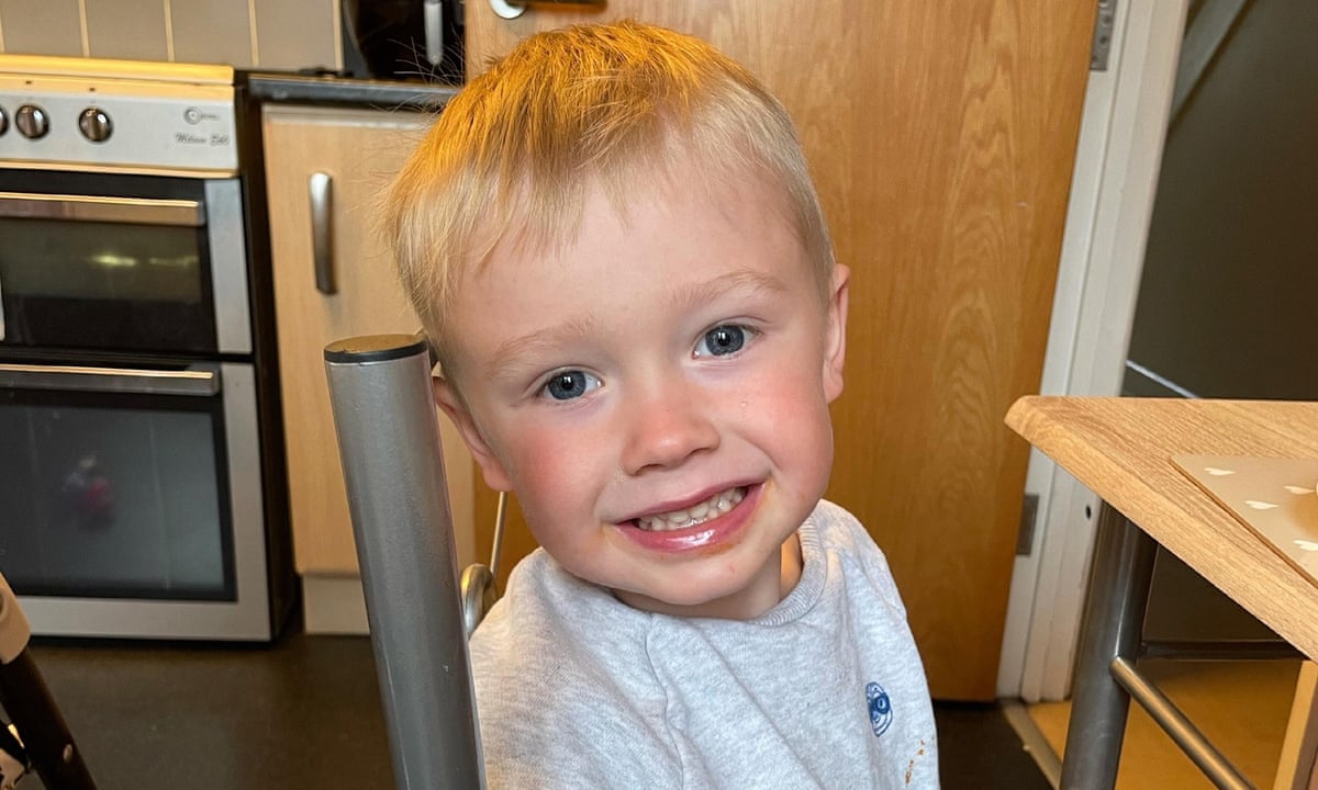 Boy, three, accidentally killed by truck driven by father in Wales | Wales | The Guardian