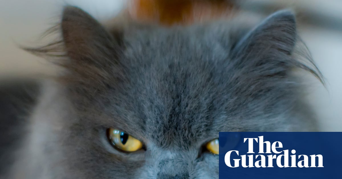 The Weight of a Thousand Glances: Why Our Faces Tell More Than We Think
