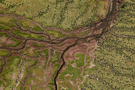 Water twists and turns through a lush green landscape
