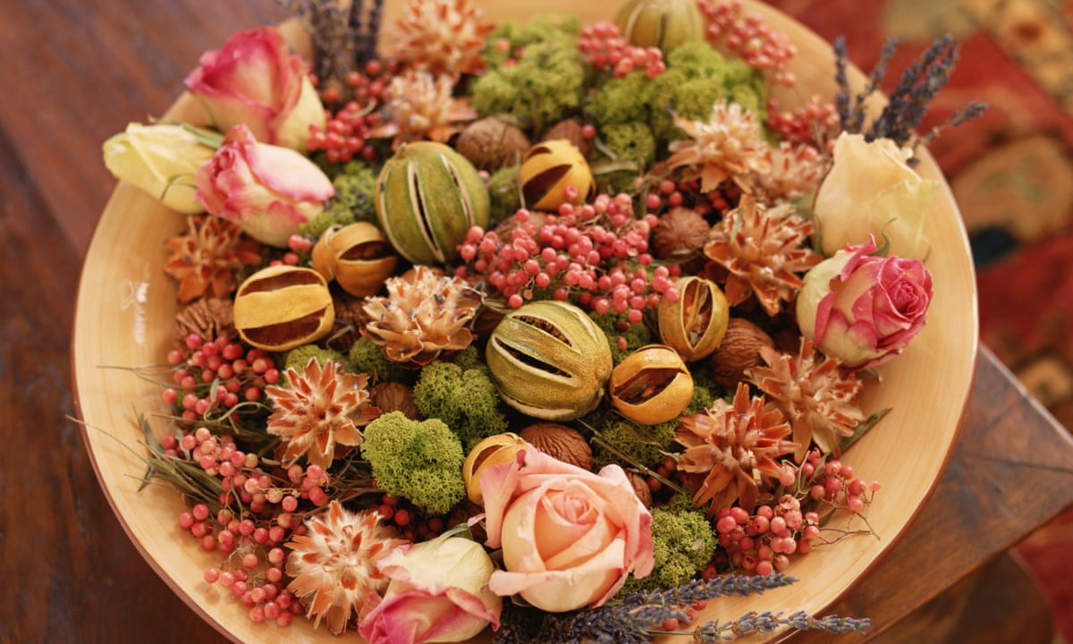 From Potpourri To Diffusers Why Is The Modern World So Smelly Suzanne Moore The Guardian
