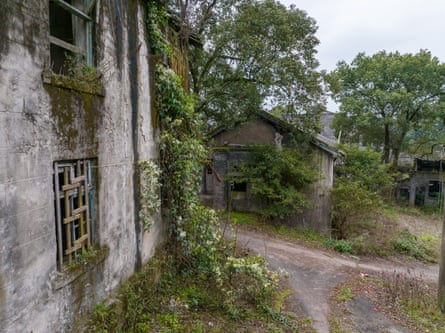 abandoned, ruined buildings overgrown with plants