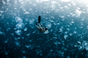A freediver falls through an ocean full of moon jellyfish in the Raja Ampat islands, West Papua. Third place: Collective Portfolio award