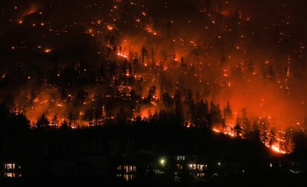 Fires glow among trees at night, with the lights of homes in the foreground