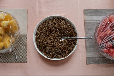 A bowl of mealworms in between plates of what look like watermelon and mango.