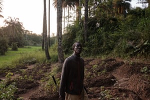 Naby Keita, the clinic’s chief snake hunter, searches for snakes in the thick bush on the outskirts of Kindia.