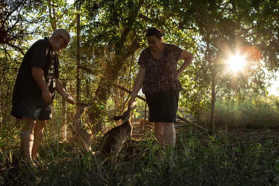 Angus and Karen Emmott feed young kangaroos