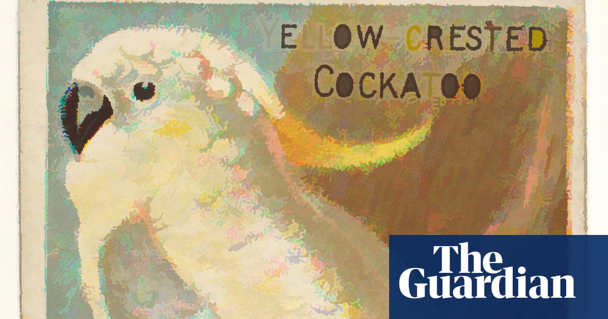 Те знаят как да бъдат нахранени от хората – като