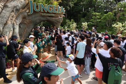 nature-experience theme park Junglia Okinawa