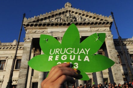 A demonstration in favour of legalising marijuana in Montevideo in December 2013
