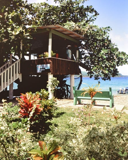A treehouse on a beach