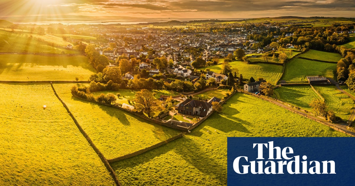 Slow news: Cumbria tortoise found a mile from home nine months after going missing