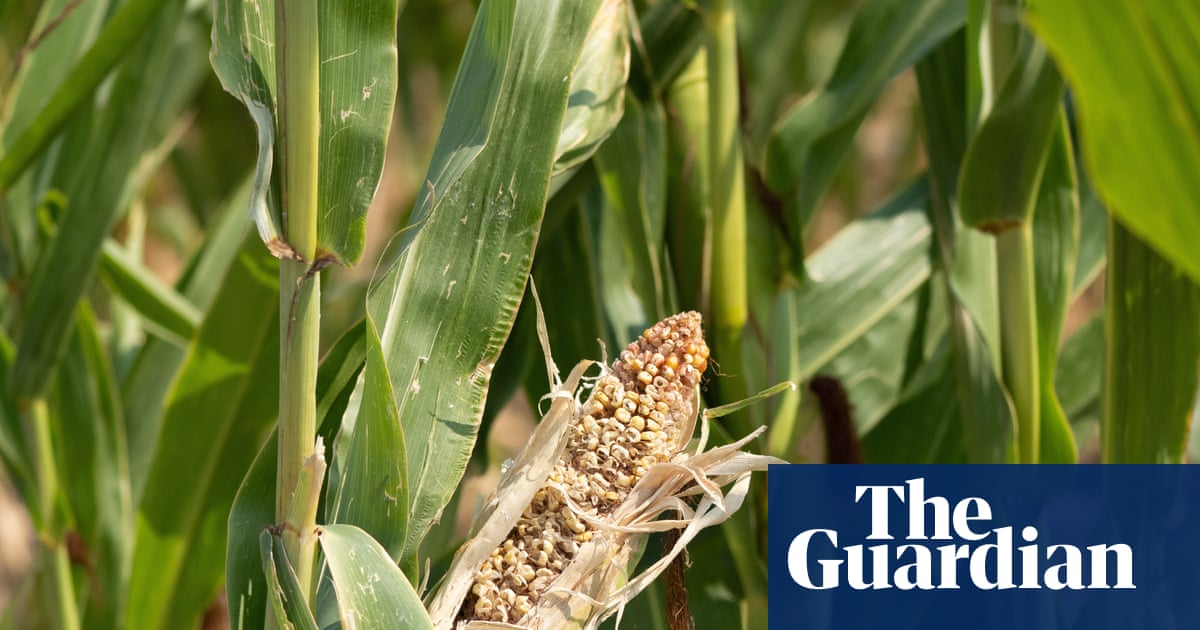 UK has not done enough to prepare for shocks to food supplies, says watchdog